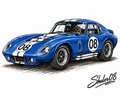 Daytona coupe