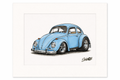 Hotrod bug